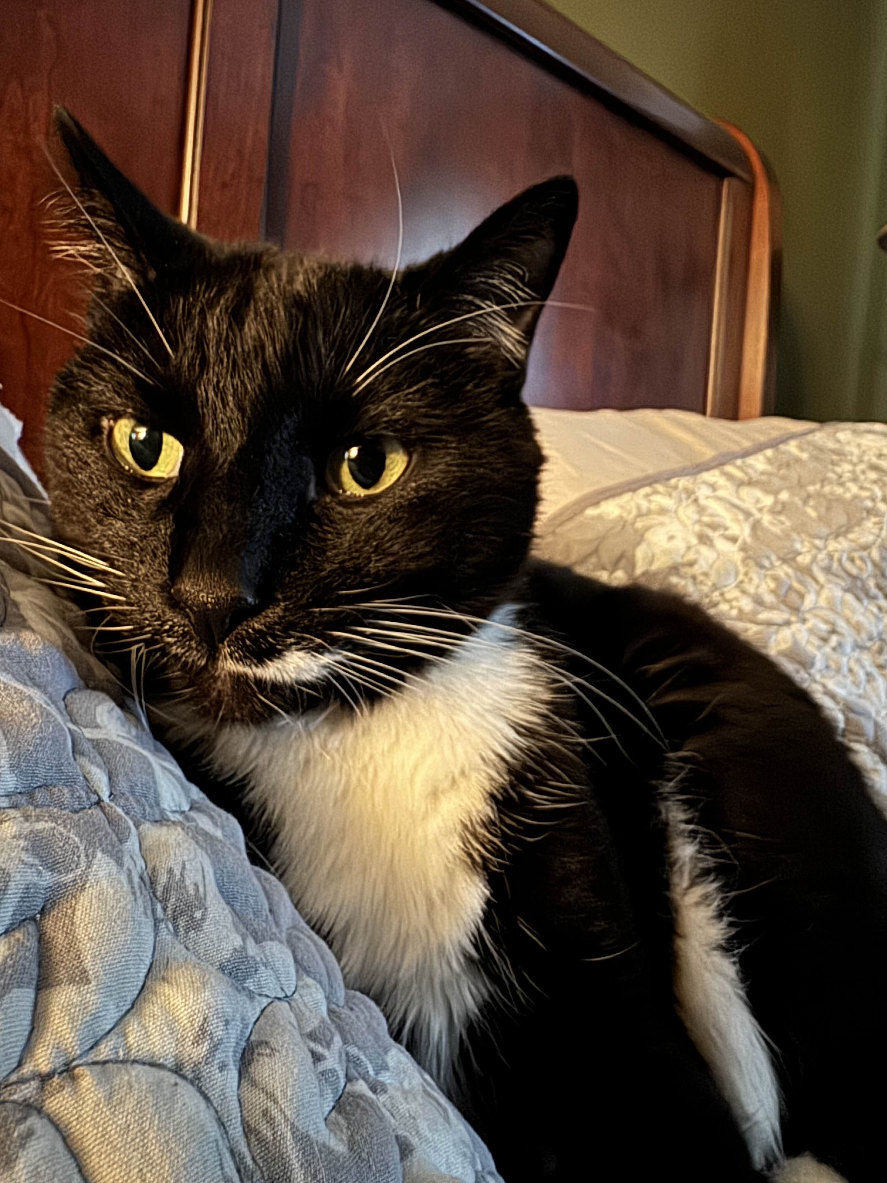 Leo